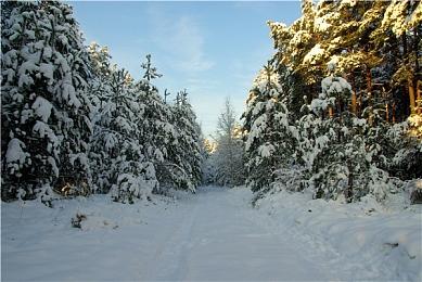 《Apex英雄》动画师长文 诠释新角色艾许老鼠宠物